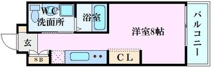 COLLINA山根町の物件間取画像